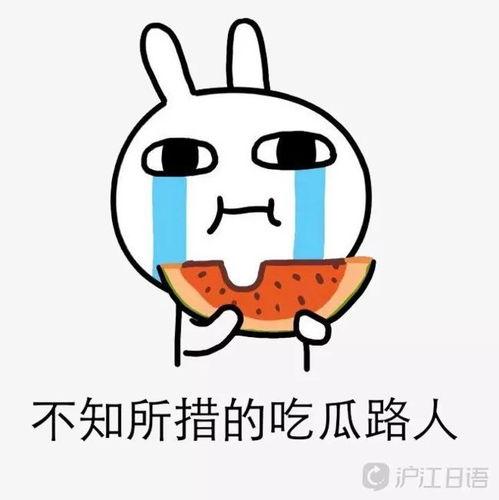 吃瓜费加入,网络热议背后的真相与反思