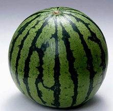 吃瓜素材图,图说人间百态