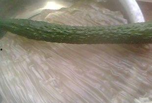 瓜和葱能一起吃吗