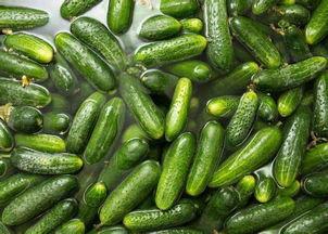 吃矮瓜中毒,警惕常见食材潜在风险