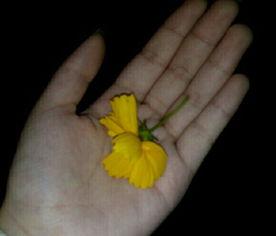 河边吃瓜视频素材