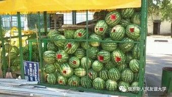 吃小色瓜群,美食分享与社交互动的乐园  第3张