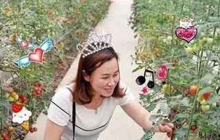 甜甜吃瓜博主,带你领略娱乐圈幕后风云  第2张