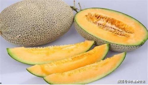 吃蜜瓜逛景区,畅游景区尽享甜蜜时光  第2张