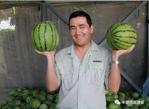 梦到吃西部瓜  第1张