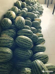 梦到吃西部瓜  第3张