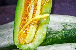 瓜罗怎样吃的,多样吃法，尽享美味  第2张