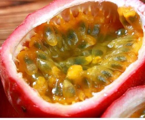 瓜罗怎样吃的,多样吃法，尽享美味  第3张