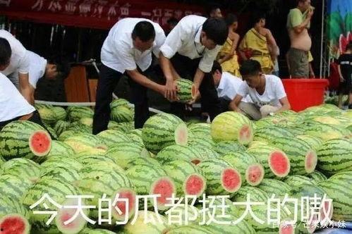 吃瓜队一员  第3张