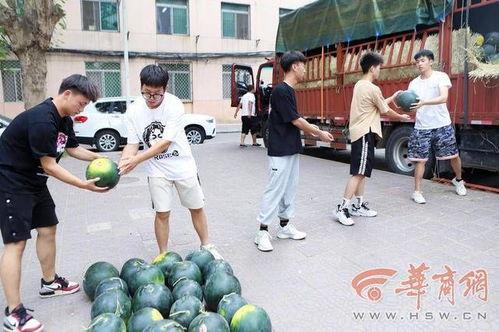 贵州师范学院 吃瓜,吃瓜群众眼中的校园风云录  第2张