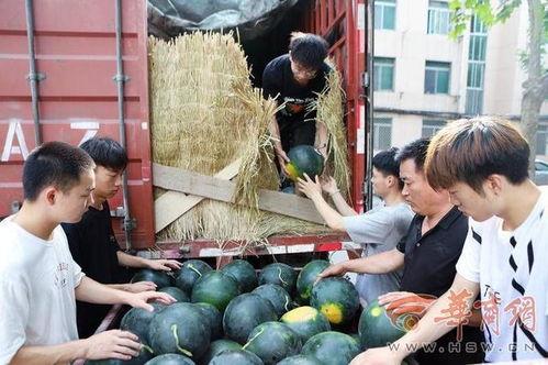 贵州师范学院 吃瓜,吃瓜群众眼中的校园风云录  第3张