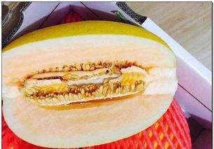 江山市吃瓜,瓜果飘香，品味夏日清凉  第3张