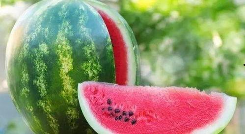 吃瓜解剖原因,揭秘吃瓜解剖背后的真相与原因  第3张