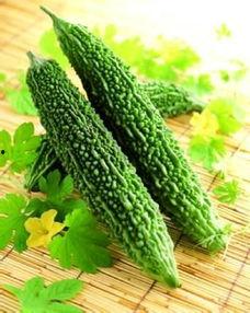 每日睡前吃凉瓜 第2张 每日睡前吃凉瓜 第2张