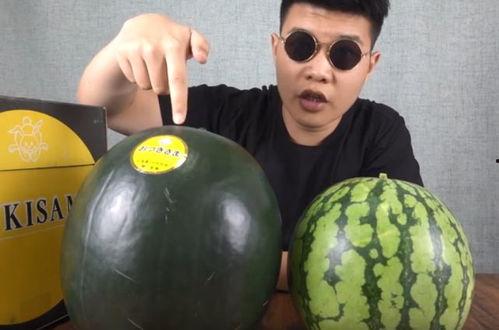 吃瓜在线亚洲国产,亚洲国产生态圈深度解析  第2张