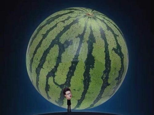 吃瓜发码助力  第3张