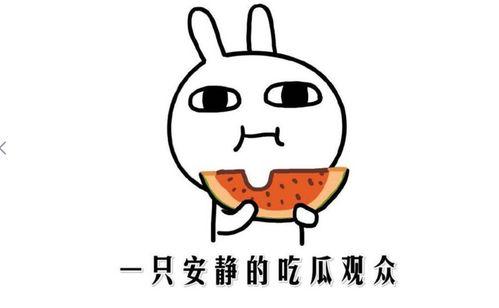 很像吃瓜群众的人,揭秘吃瓜群众的欢乐人生