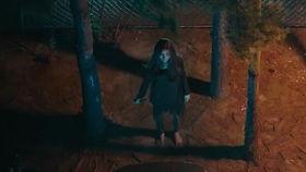 假吃瓜恐怖视频,揭秘假吃瓜恐怖视频背后的惊悚真相