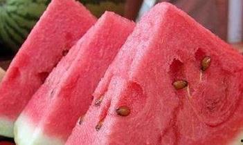 腿部吃瓜,夏日清凉新风尚  第1张