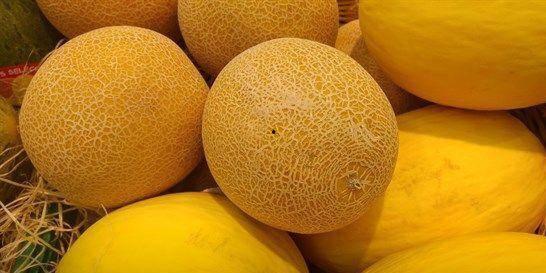 春天吃哈密瓜,哈密瓜的甜蜜诱惑  第2张