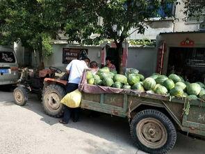 开封小伙吃瓜,一场别开生面的乡村美食之旅  第1张