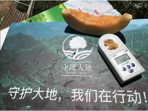 吃瓜能改变世界吗,揭秘吃瓜如何改变世界  第1张