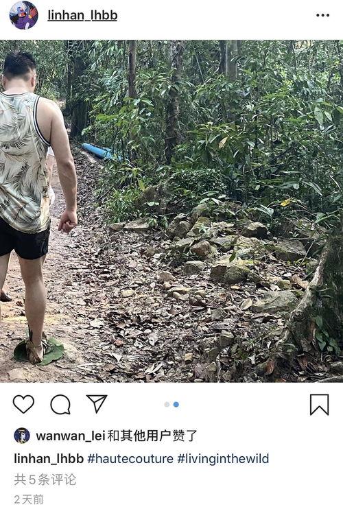 今日吃瓜每天必吃天天更新,紧跟热点，天天更新，畅享娱乐盛宴  第1张