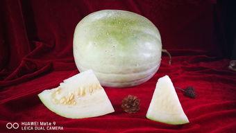 孕妇可以吃三白瓜  第1张