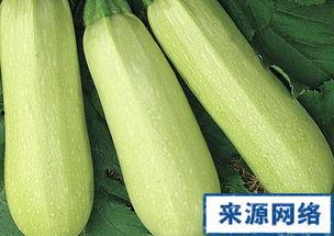 孕妇可以吃三白瓜  第3张